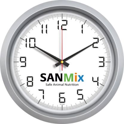 Product 56184 Image 1