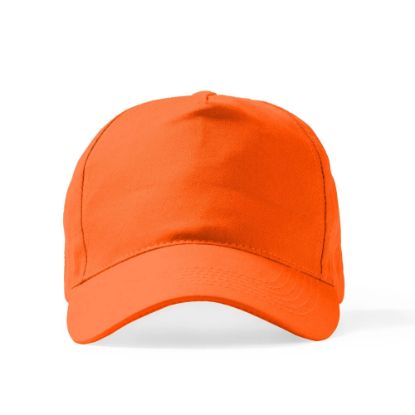 Product 215030 Image 1