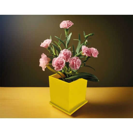 Product 155886 Image 1