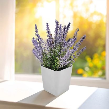 Product 58089 Image 1