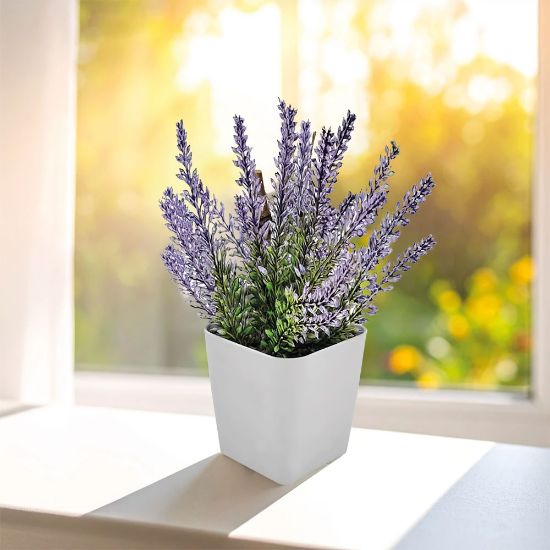 Product 58089 Image 1