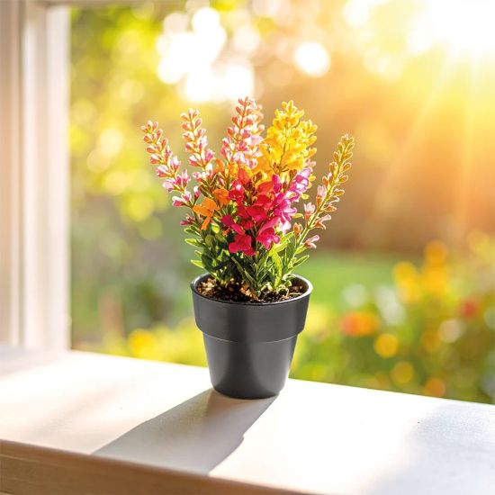 Product 58090 Image 1