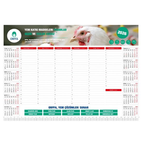 Product 527566 Image 1